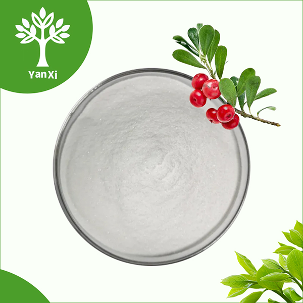 Arbutin Powder Arbutin Powder